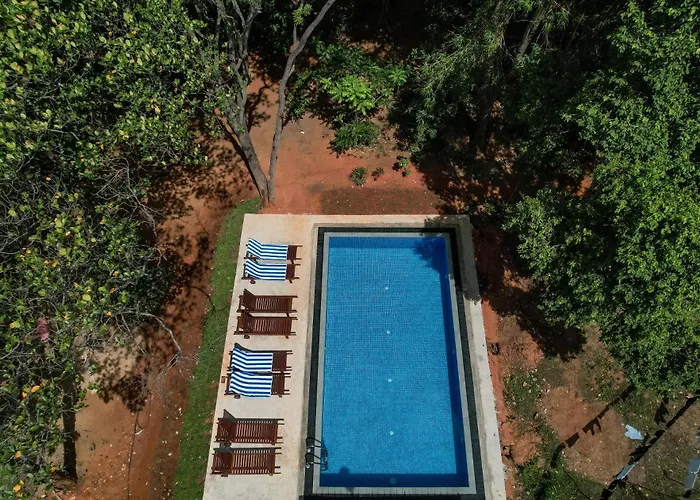 Isanka Lion Lodge