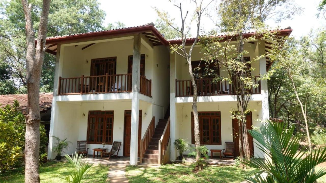 Lodge Isanka Lion