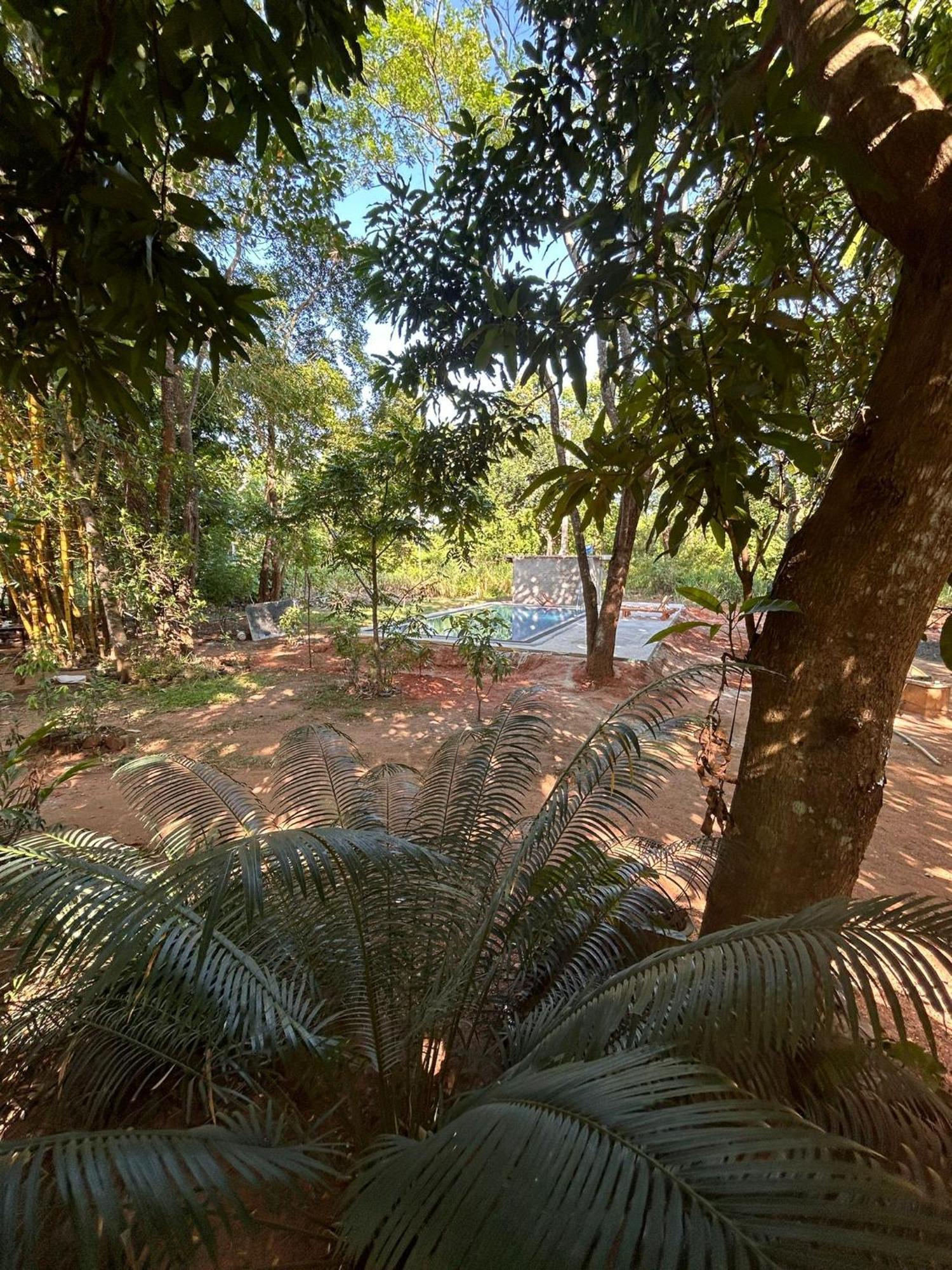 Lodge Isanka Lion Sigiriya