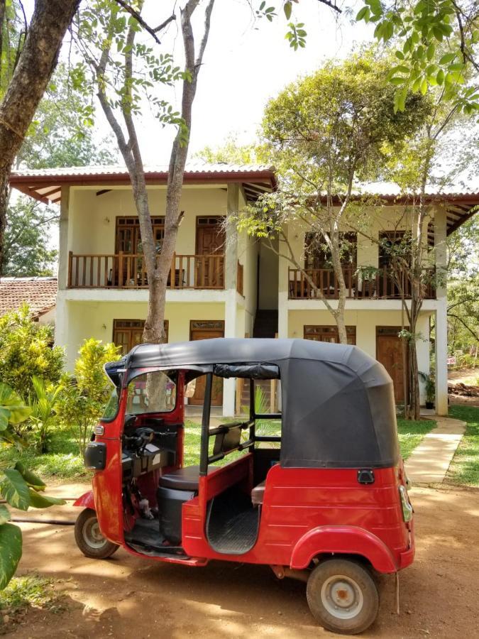 Isanka Lion Lodge *