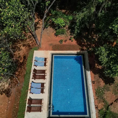 Isanka Lion Lodge Сигирия Экстерьер фото