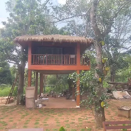 Isanka Lion Lodge Sigiriya Exterior photo