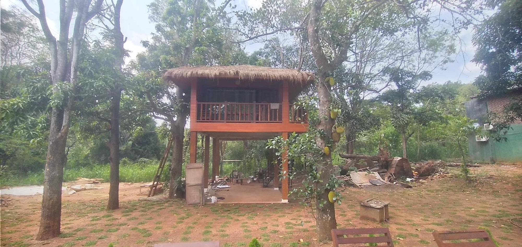 Isanka Lion Sigiriya
